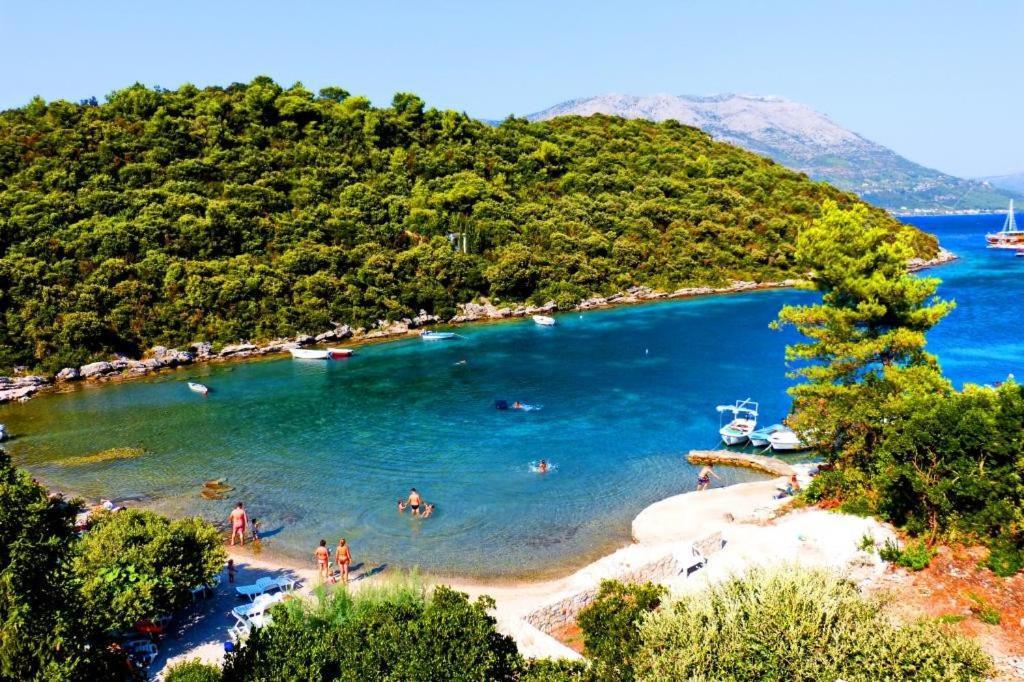 Apartments Villa Cebalo-Korcula Zrnovo Rum bild