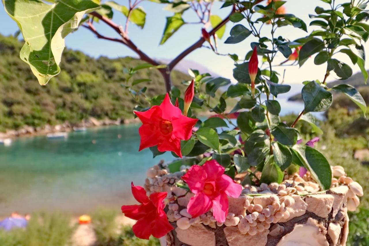 Apartments Villa Cebalo-Korcula Zrnovo Rum bild